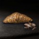 Croissant Cr&egrave;me Choco